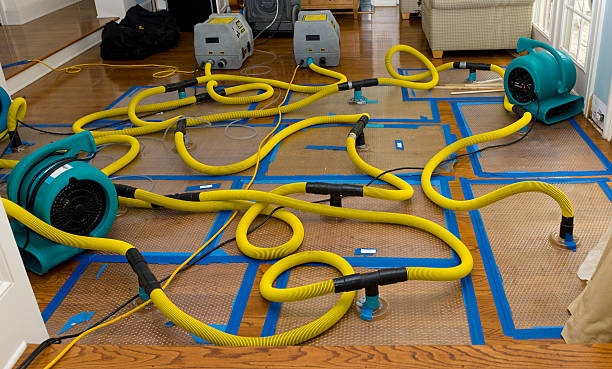 Professional Burst Pipe Water Damage technician working in Southgate, MI